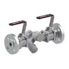 Poste de capture double Type 8976 série CTS4U inox bride EN 1092-1